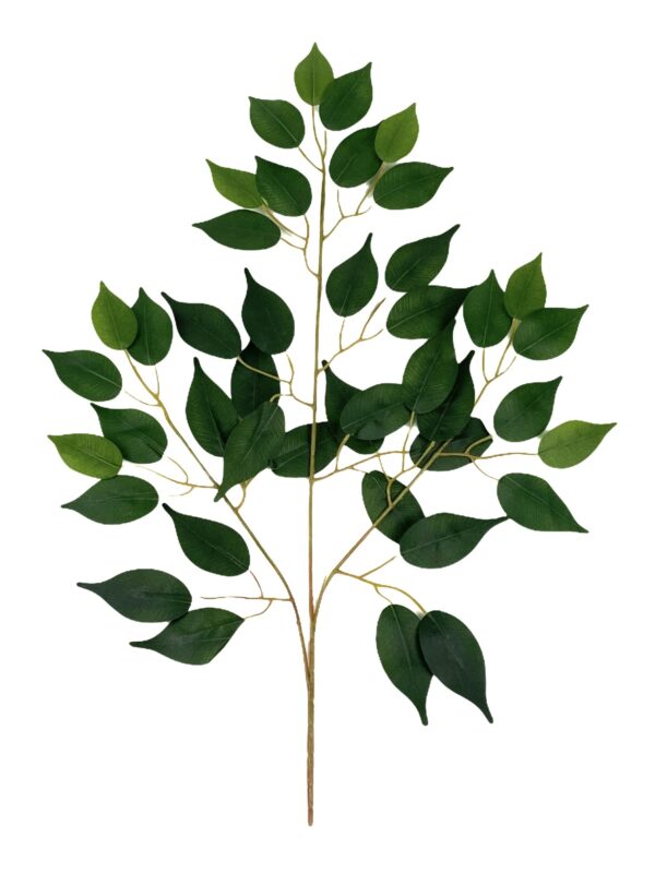 Ramo Ficus Verde 12 Pezzi
