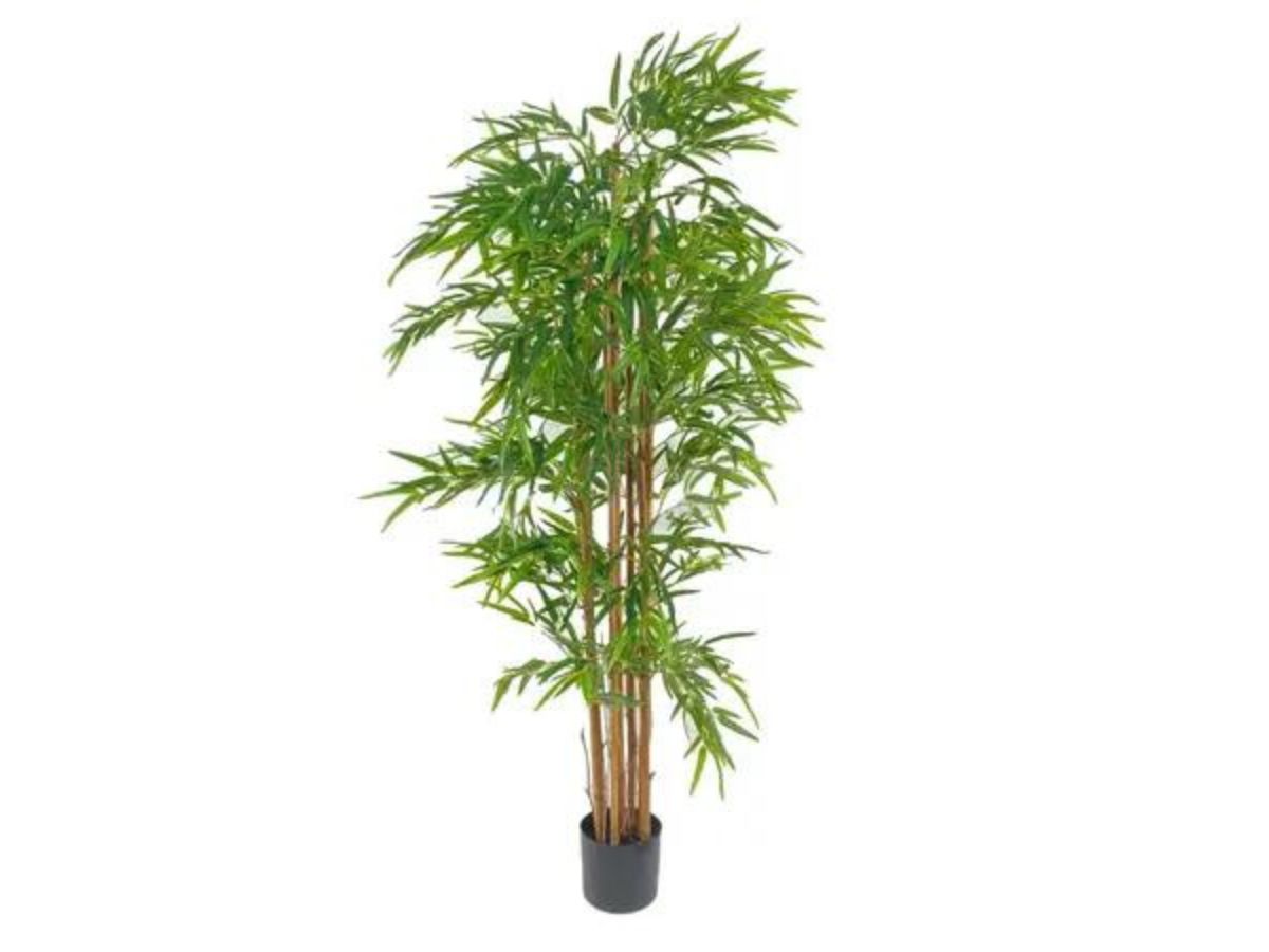 bambu-150
