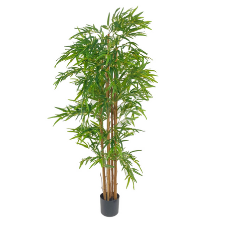 foto-my-garden-bambu