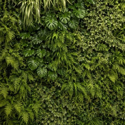 parete artificiale piante 100 x 200 cm di my garden