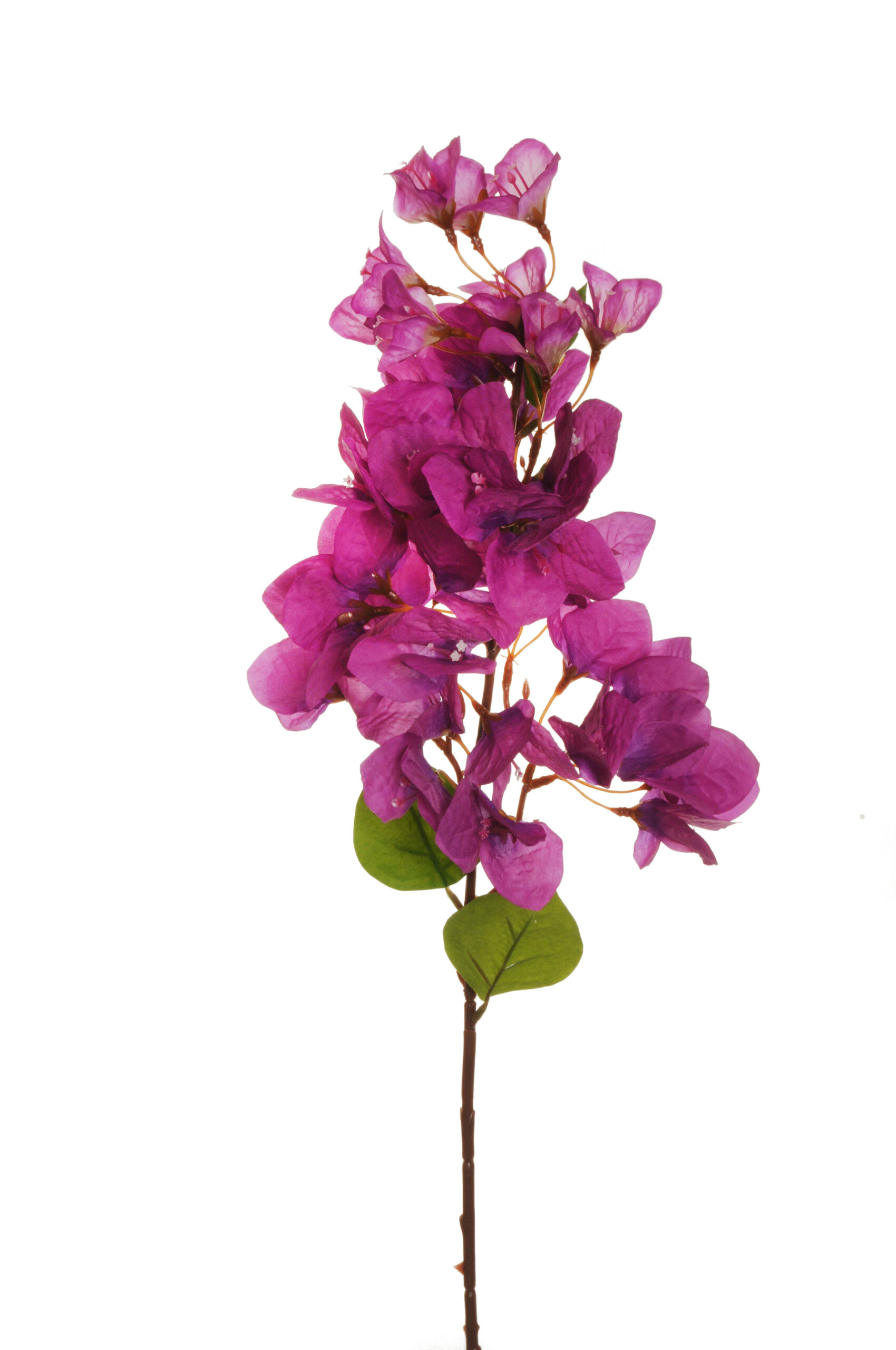 Bougainvillea artificiale, pianta alta realistica con tronco di