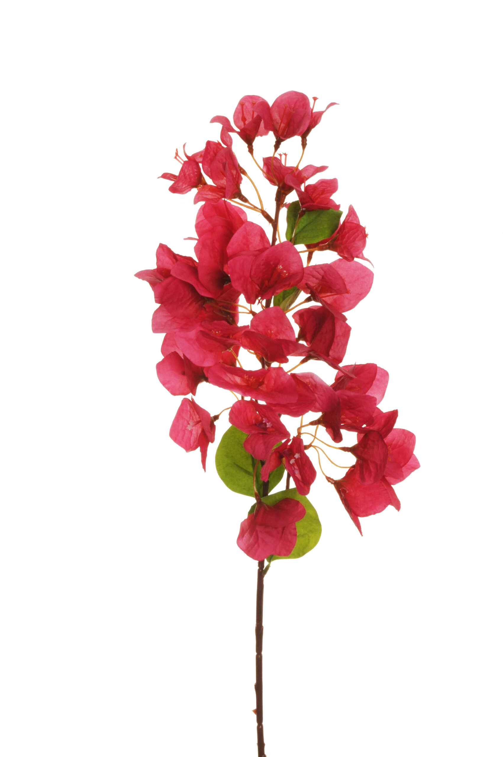 Bougainville Artificiale 150 Cm Con Fiori Rossi - Albero In Vaso Cemento Con Tronco In Legno Naturale E Liane - 4