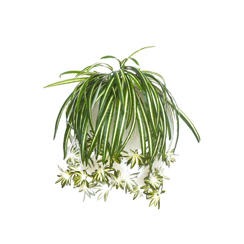 Falangio_artificiale