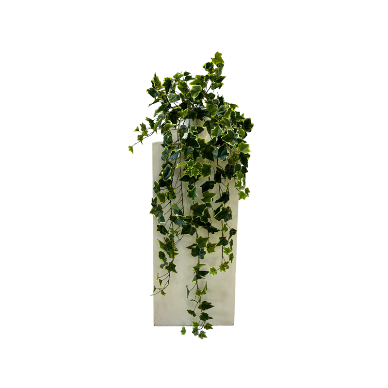 Edera Pendente 244 Foglie 90cm