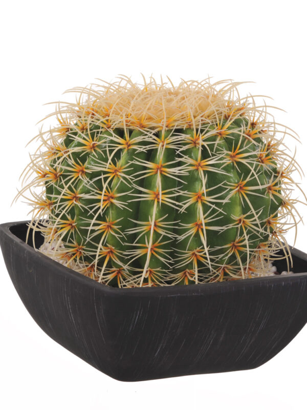 Cactus Grusone Artificiale Con Vaso