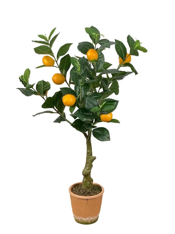 Piantina Limone Artificiale 70cm