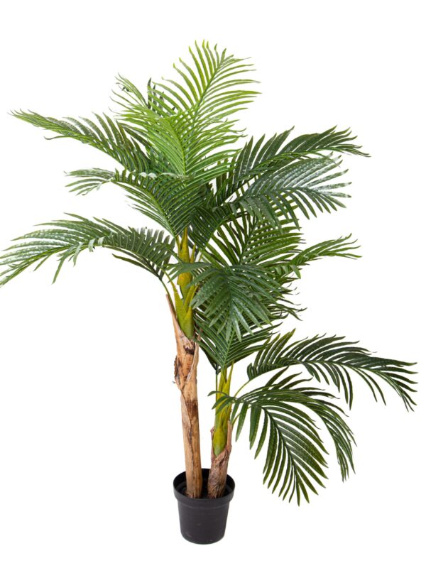 Kenzia Areca Artificiale 165cm