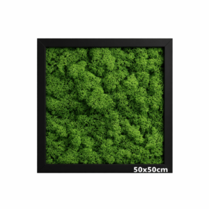 Quadretto Lichene Naturale Nero 50x50cm