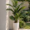 kenzia areca artificiale di my garden napoli
