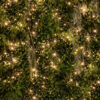 parete di piante artificiali con luci 100 x 200 cm di my garden