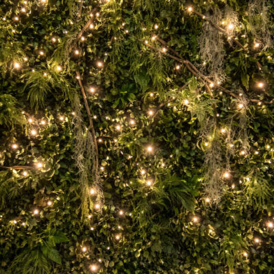 parete di piante artificiali con luci 100 x 200 cm di my garden