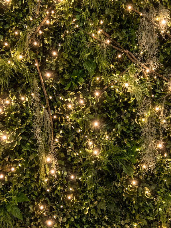 parete di piante artificiali con luci 100 x 200 cm di my garden