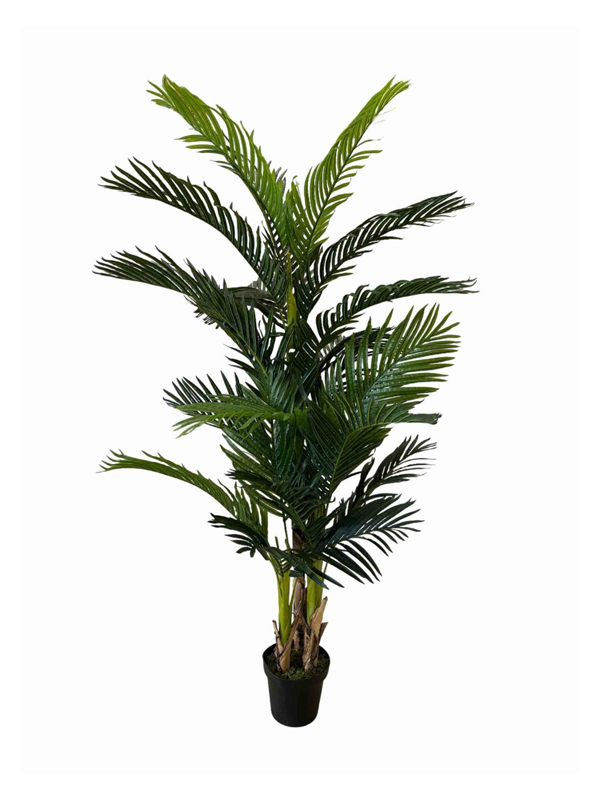 Kenzia Areca Artificiale 190cm