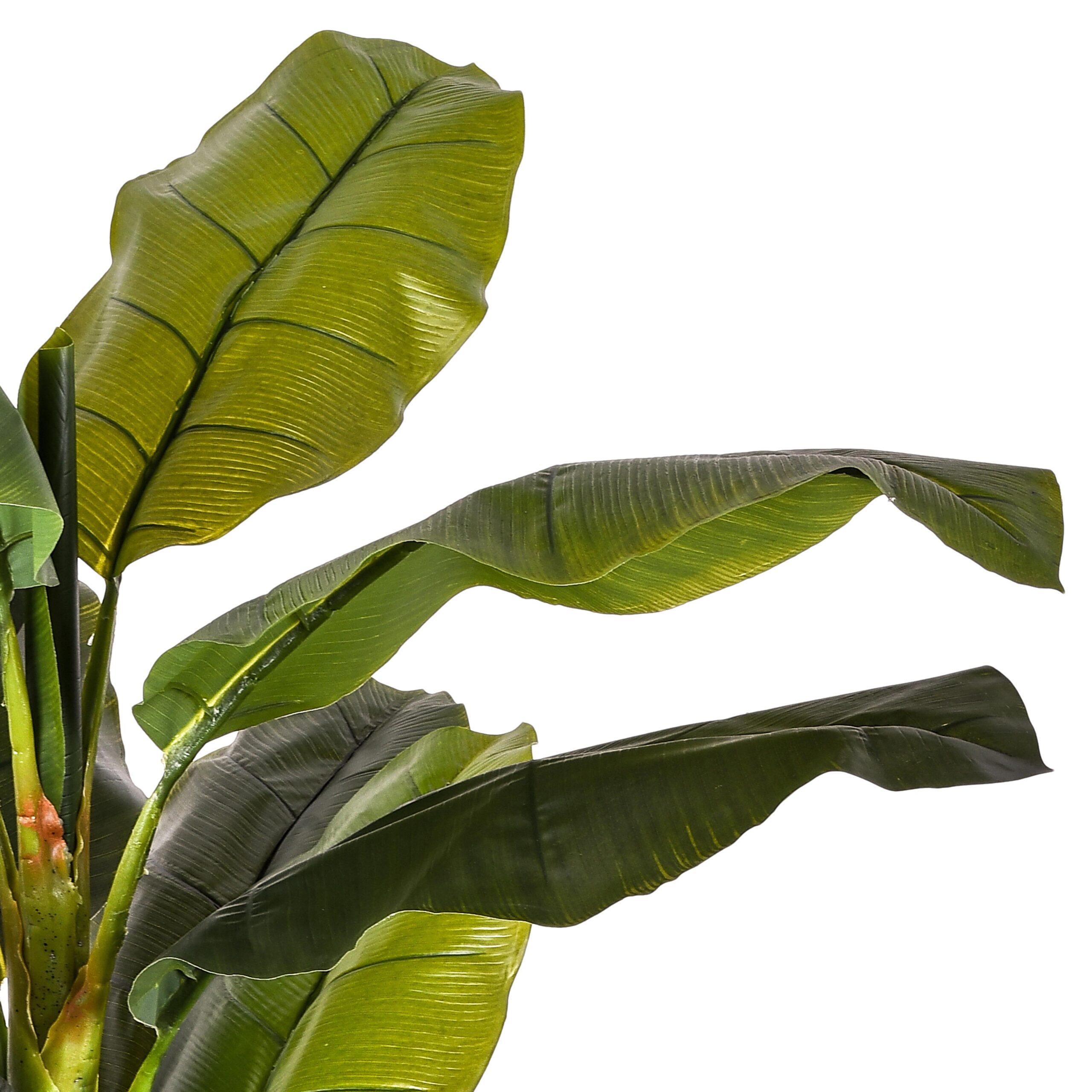 Banano Finto Bagheera 180 Cm – Pianta Artificiale, Verde, Senza Manutenzione, Per Interni
