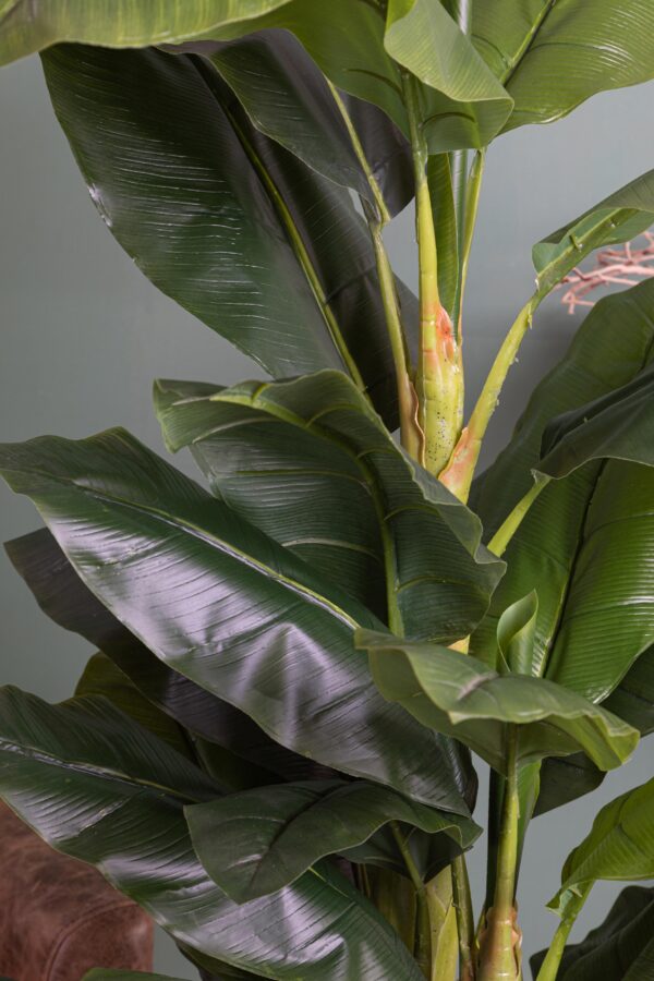 Artplants Banano Finto Bagheera - Pianta Artificiale Da Interno - Altezza 180 Cm - Verde - 2