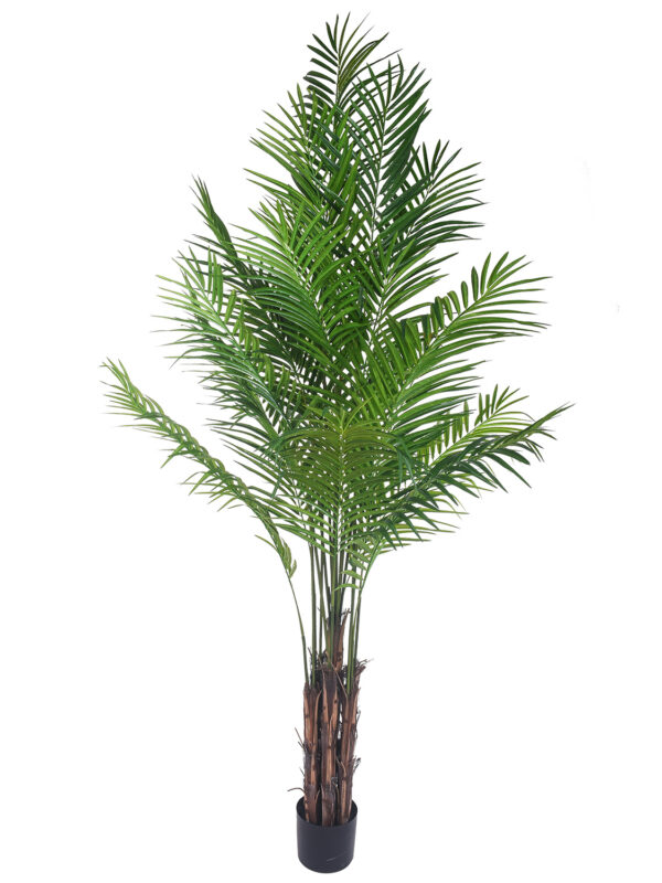 Kenzia Areca Artificiale 210cm