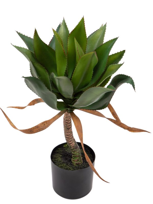 Agave Artificiale 70cm