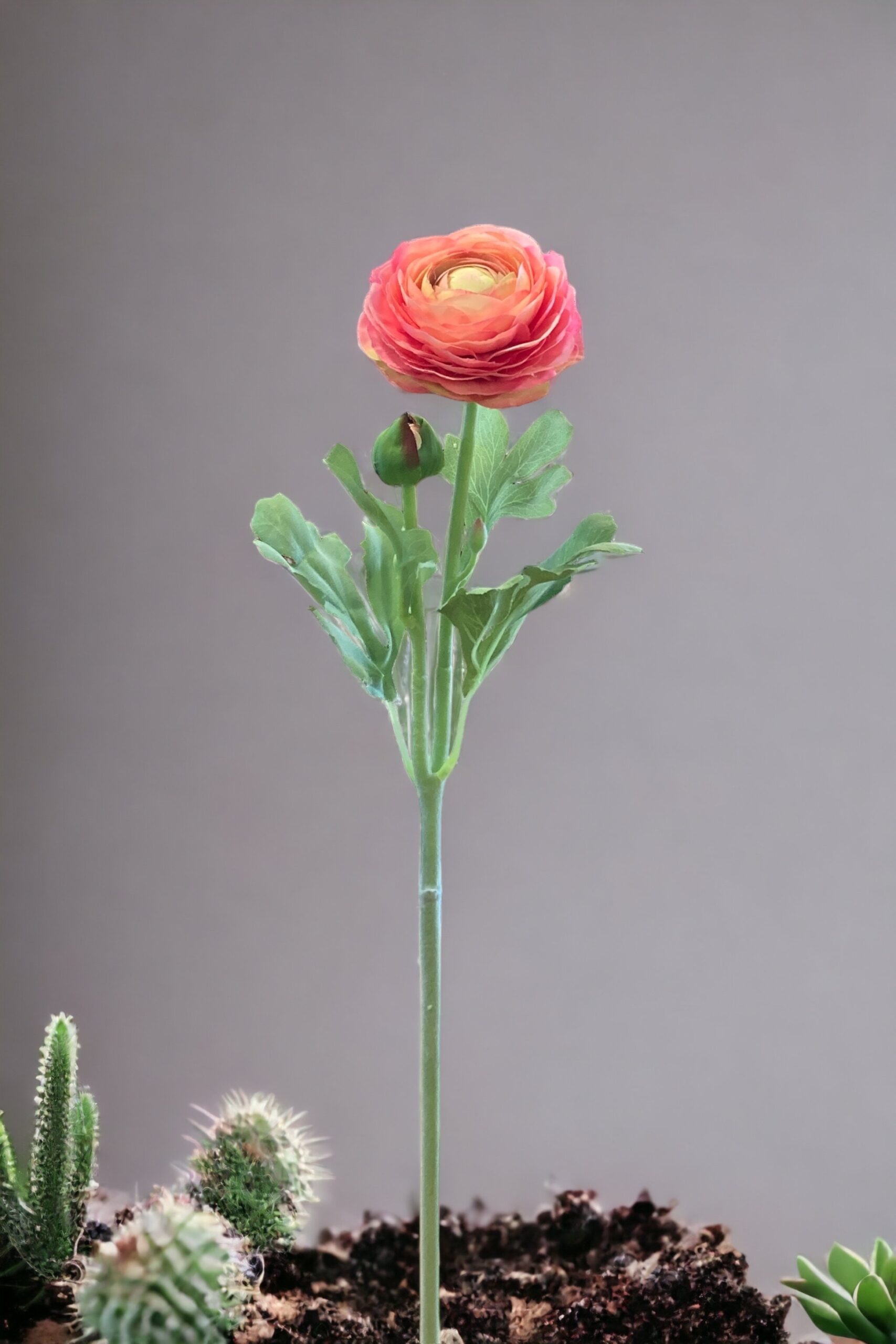 Ranuncolo Artificiale Rosa - Image 4