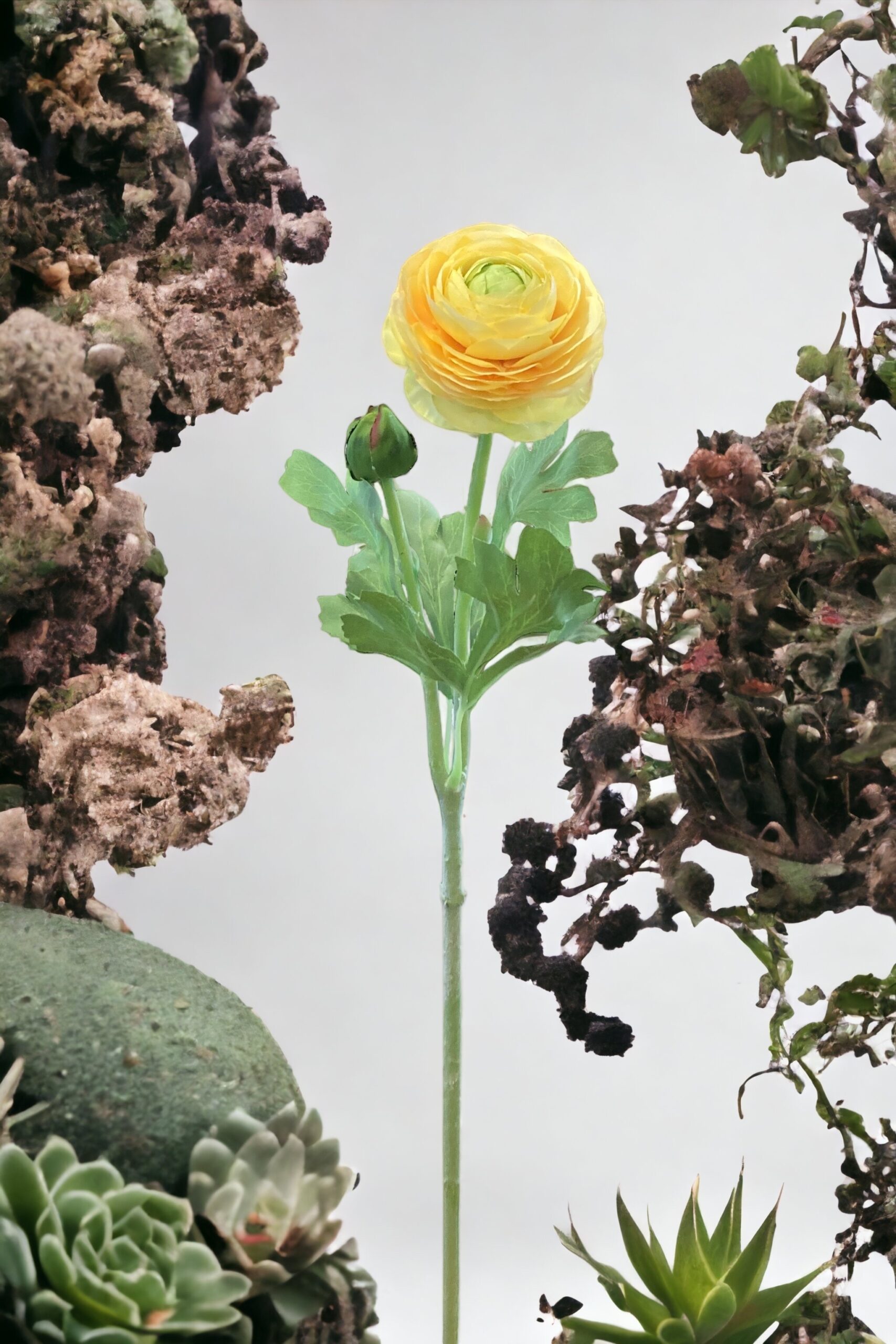 Ranuncolo Artificiale Giallo - Image 3