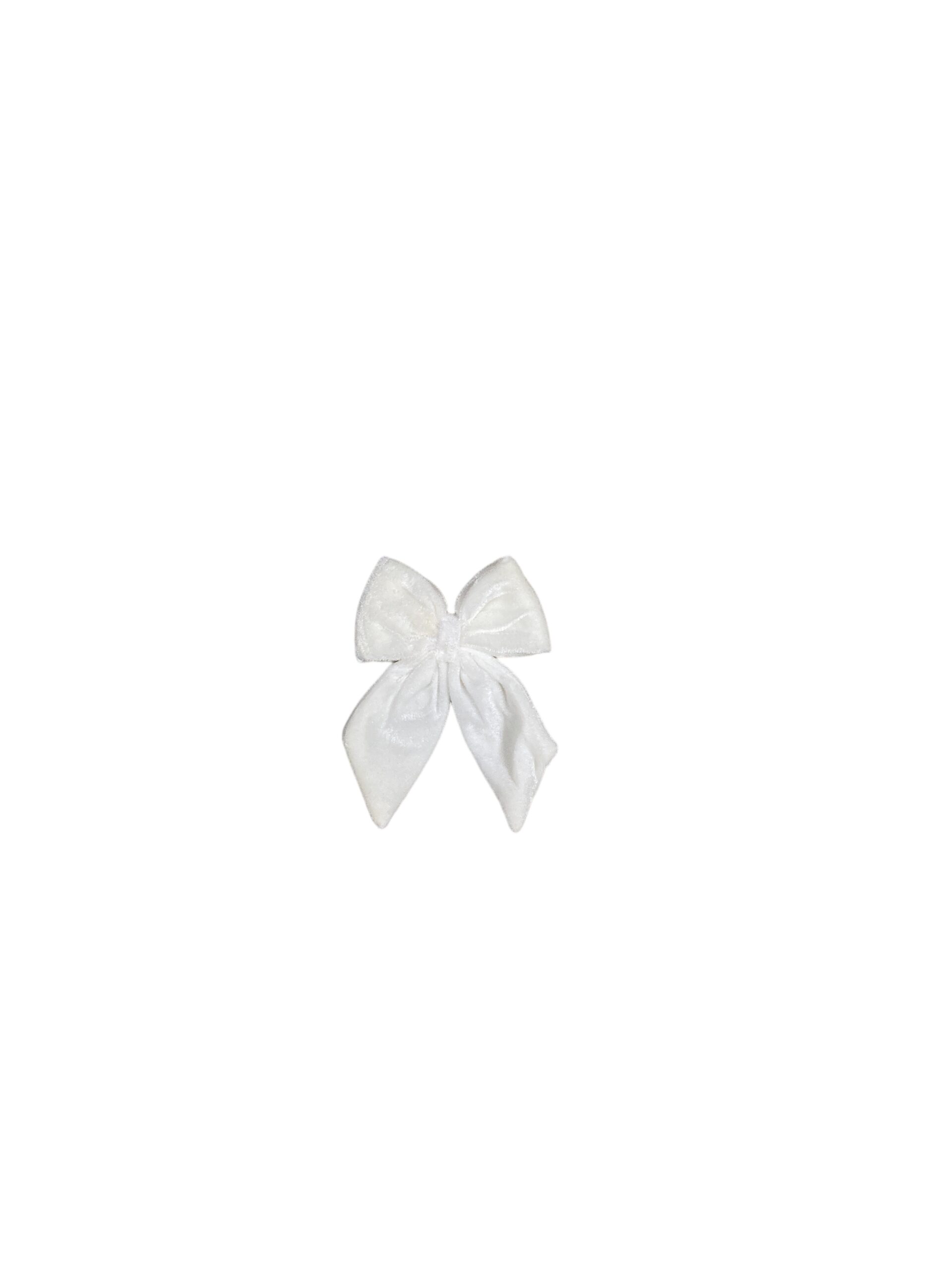 PhotoRoom_20231031_114054