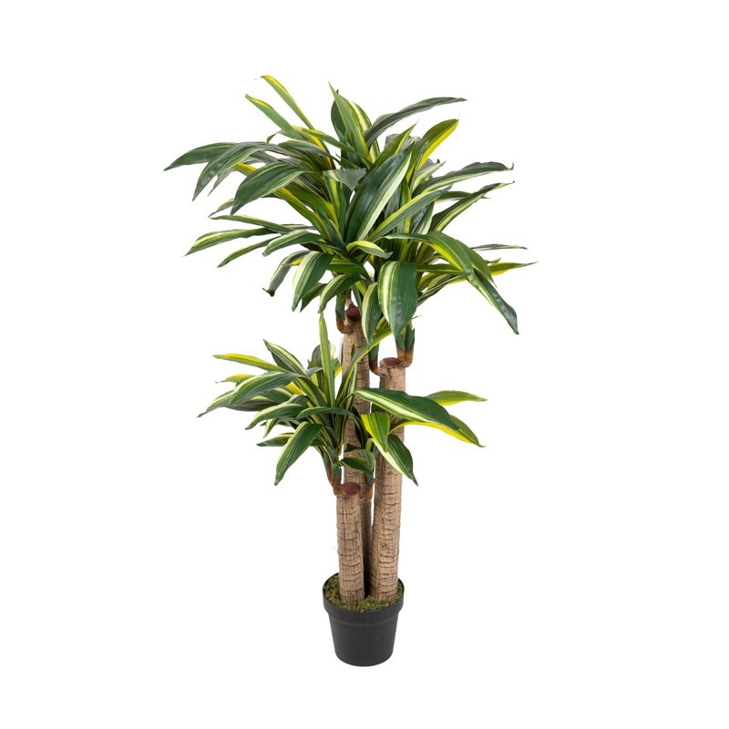 Dracena_Artificiale_120cm