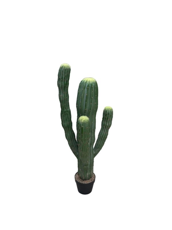 Cactus Medio Artificiale