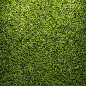 Parete in lichene naturale 100x100cm my garden
