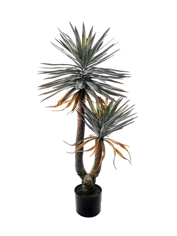 Dracena Artificiale 150cm