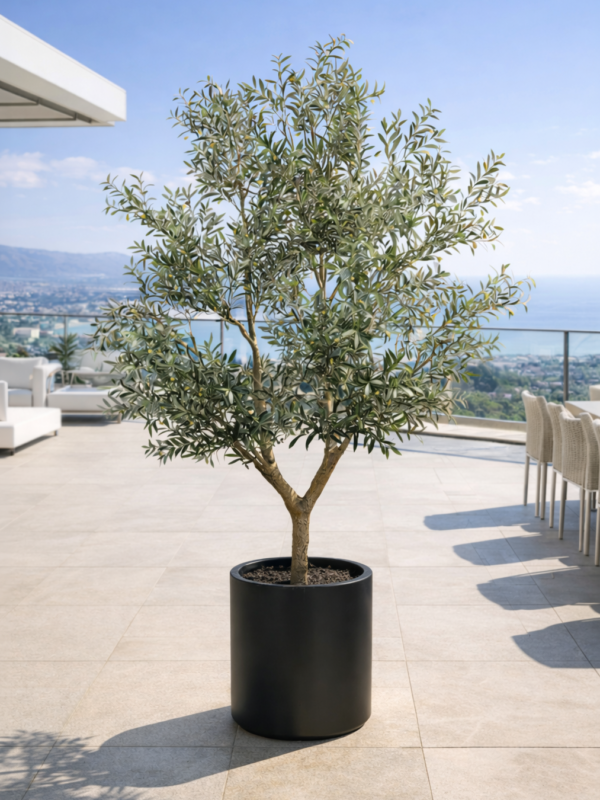 Ulivo artificial gigante per spazi indoor e outdoor
