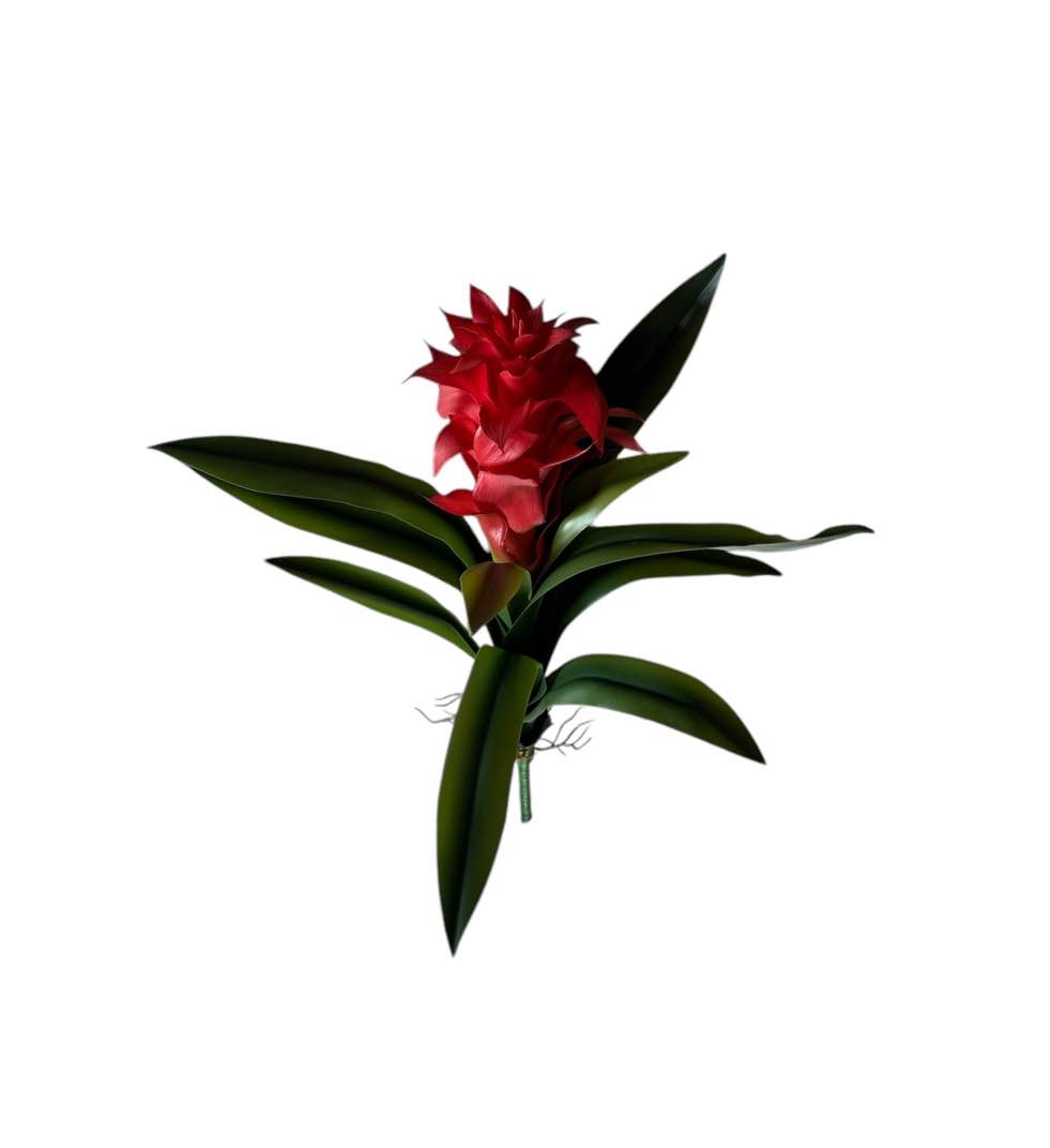B7D4F714-8705-4184-B7A0-DAB0B78FC4B1