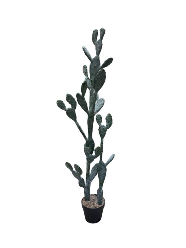Cactus Fico D'India Artificiale