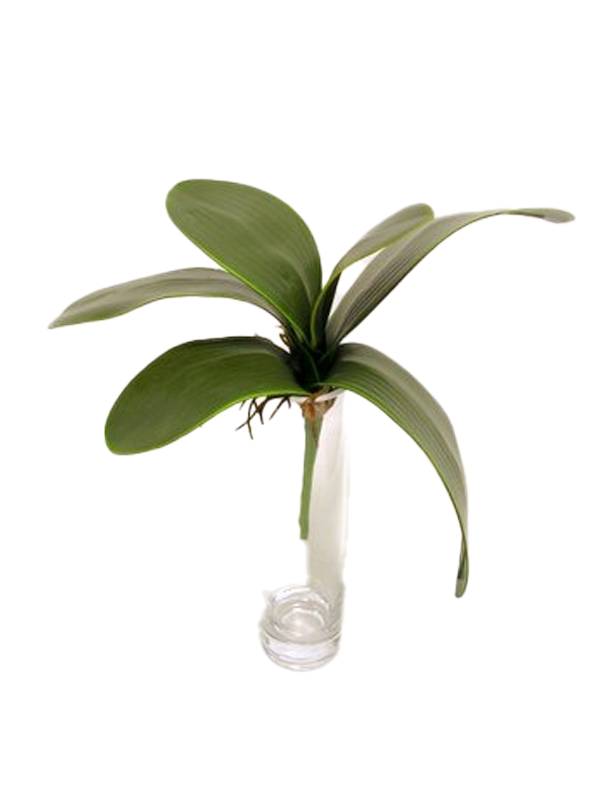 Orchidea Foglie Artificiali