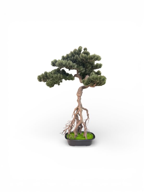 BONSAI ARTIFICIALE MEDIO