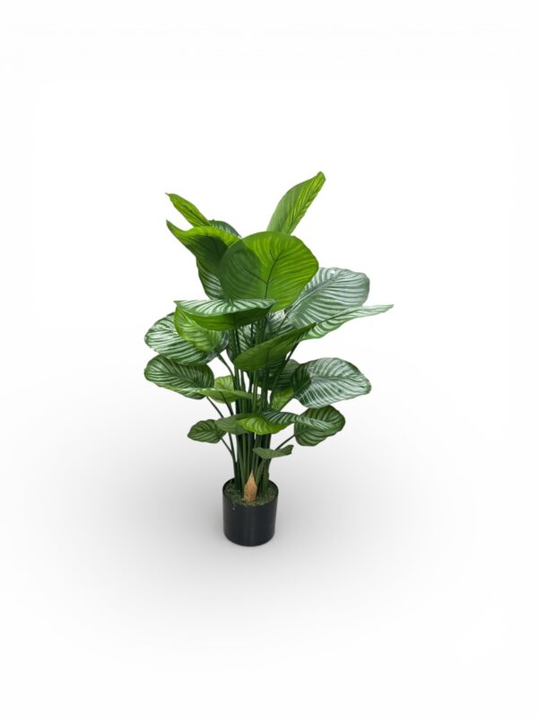 CALATEA PIANTA ARTIFICIALE