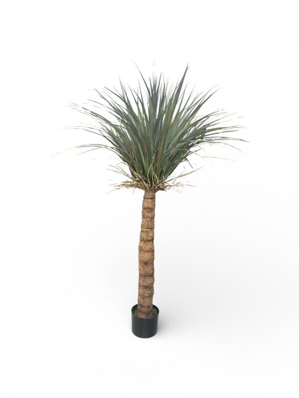 PIANTA YUCCA GLAUCA ARTIFICIALE