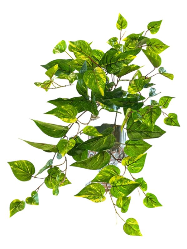POTOS RAMPICANTE ARTIFICIALE UV PROOF