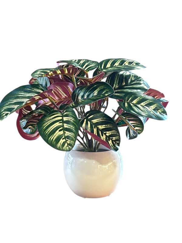 Calatea Artificiale UV Proof