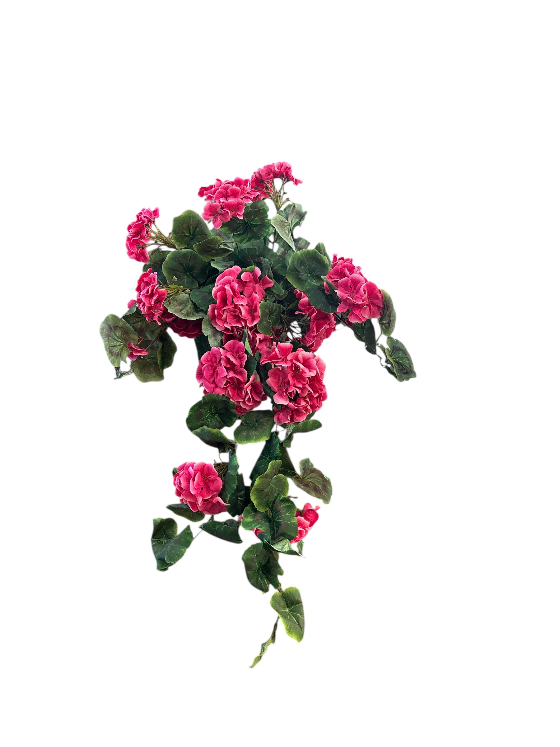Photoroom_20260411_102738