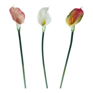 CALLA ARTIFICIALE