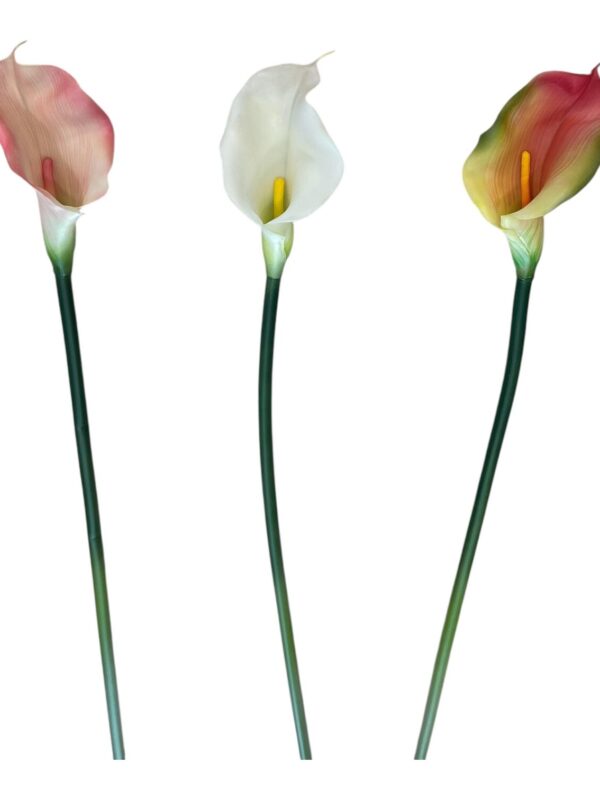 CALLA ARTIFICIALE