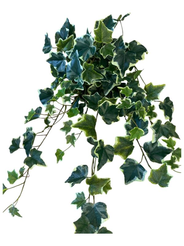 Edera Pendente 144 foglie 70cm