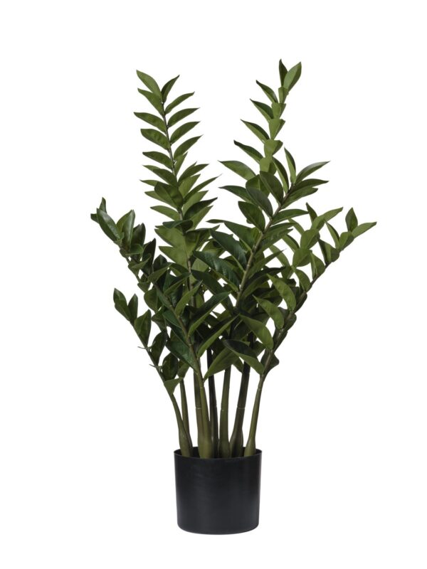 ZAMIFOLIA PIANTA ARTIFICIALE