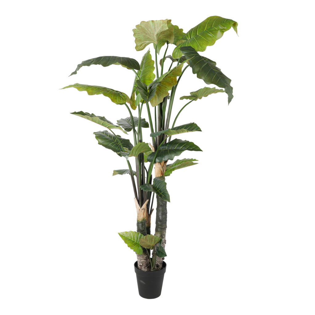 alocasia artificiale per interni ed esterni napoli