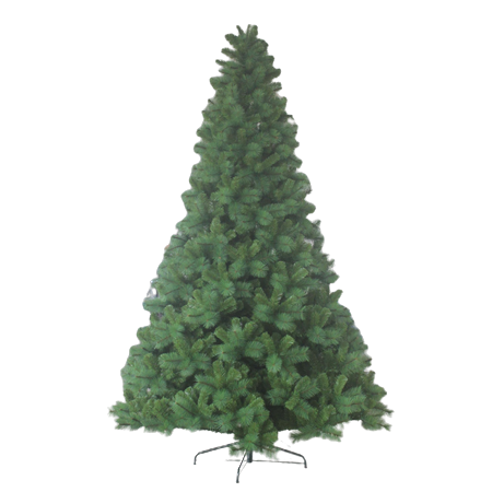 Abete Gigante Conico 12mt