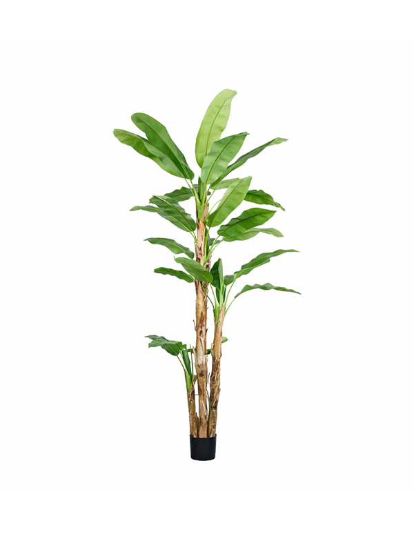 Banano Artificiale 210cm 3 Tronchi