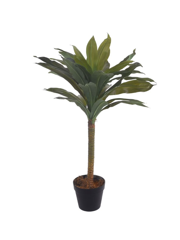 Dracena Artificiale Piccola 75cm