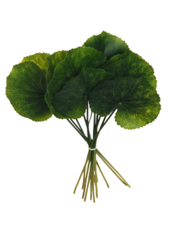 Galax Foglie Artificiali Verdi