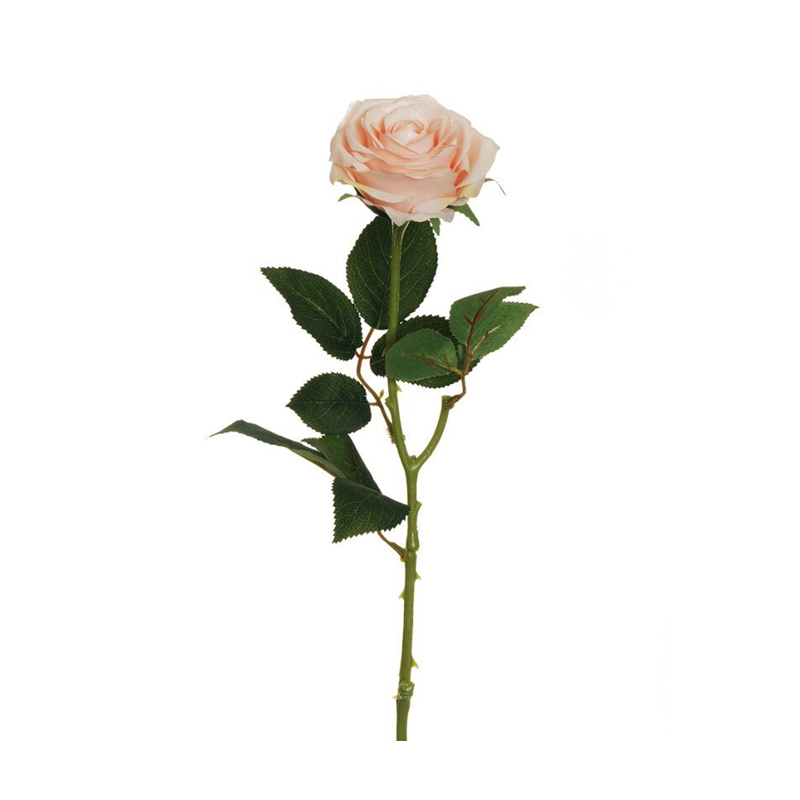 Rosa Artificiale Ecuador Salmone