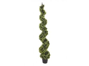 Pianta Spirale Bosso Artificiale