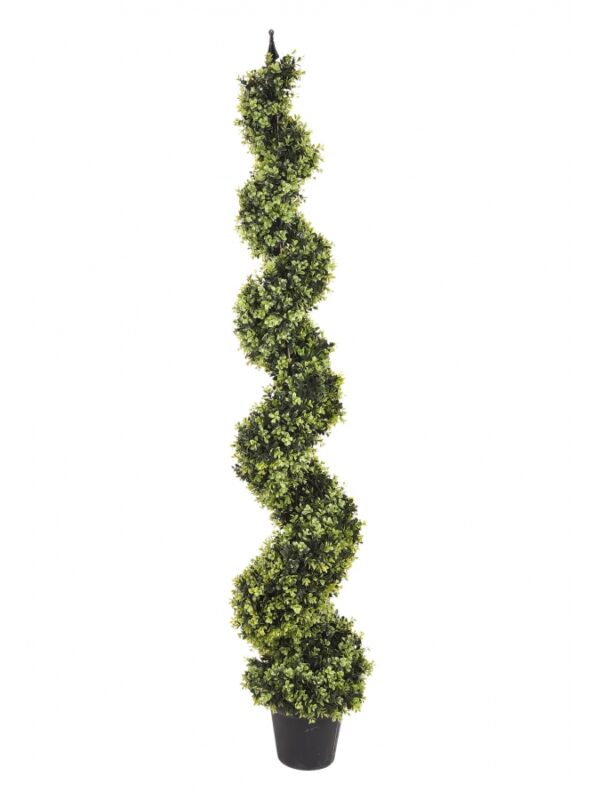Pianta Spirale Bosso Artificiale